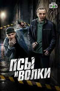 Псы и волки